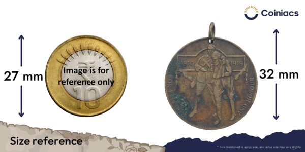 Scarce George V FOR FREEDOM AND HONOUR 1914-1919 Medal, Bronze, Fine. - Image 4