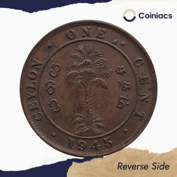 1 Cent George VI 1945 Bronze Coin, Ceylon, Collectible. - Image 3