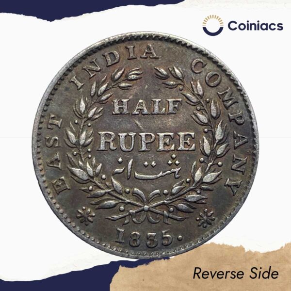 Rare Half Rupee William IIII King 1835 CE (Obv A, Rev II) 19 Berries Silver coin, British India Uniform Coinage, XF. - Image 3