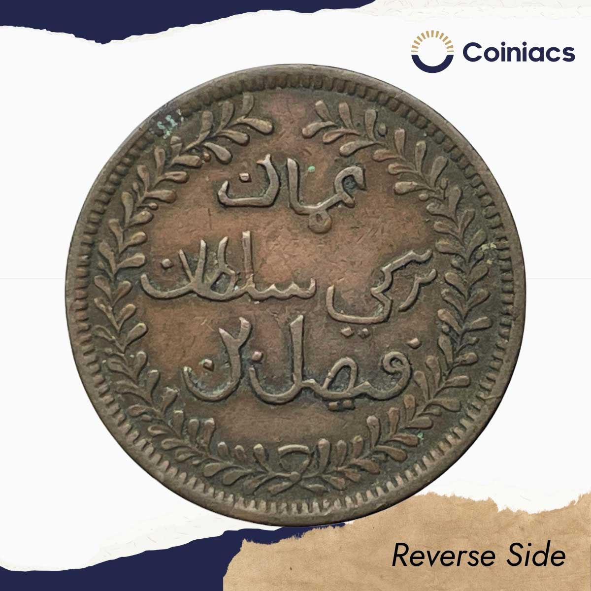 1/4 Anna Fessulbin Turkee 1315 AH (1898 CE) Copper Coin, Muscat & Oman, Collectible. - Image 3